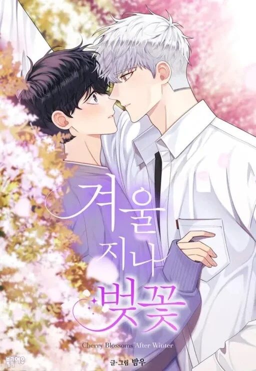 Read Cherry Blossoms After Winter Uncensored 18+ Manhwa - Manhwa18Top